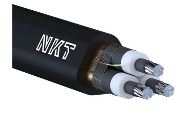 Image of AXCES